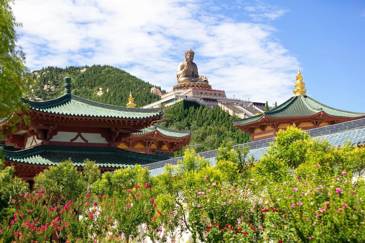 연태 3대 야경 여행: 노쇼핑 2박 3일 패키지 동선 및 비용 분석 연태 3대 야경 여행: 노쇼핑 2박 3일 패키지 동선 및 비용 분석