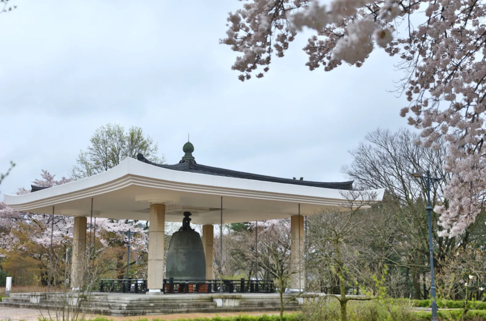 국립경주박물관 도슨트 예약 입장료 경주 실내 아이랑 가볼만한곳