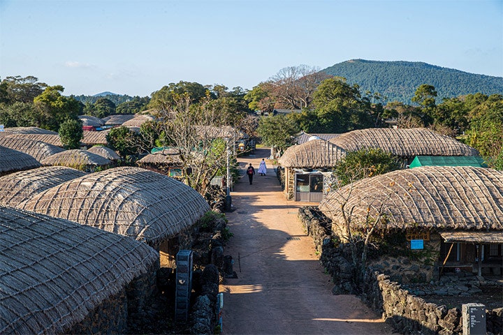 제주도 2박3일 패키지 뽕그랑제주 해녀밥상 가격 정보 비교